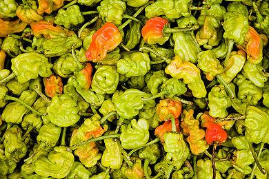 《死亡搁浅2》前30个小时前瞻 这次将横跨澳洲大陆